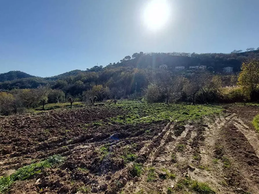 Immagine 5 di Terreno agricolo in vendita  in via casa vicinanza a Salerno
