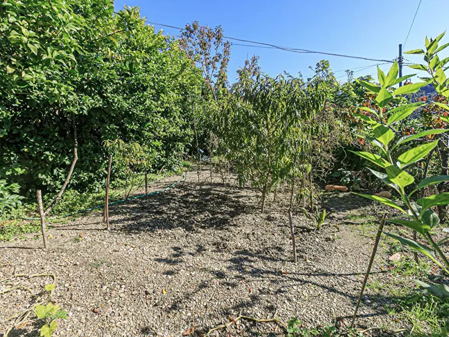 Immagine 69 di Pentalocale in vendita  in Via Costigliolo a Mignanego