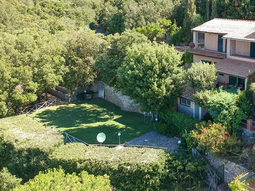 Immagine 10 di Porzione di casa in vendita  in Cala Piccola snc a Monte Argentario
