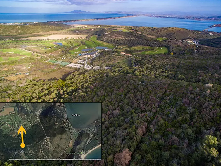 Immagine 1 di Terreno agricolo in vendita  a Monte Argentario