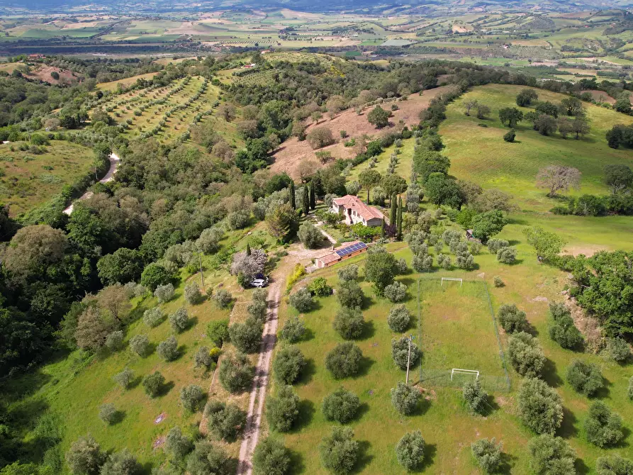 Immagine 15 di Rustico / casale in vendita  in vicolo dei fossi 2/C a Scansano