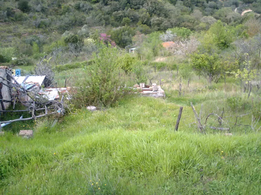 Immagine 14 di Rustico / casale in vendita  a Monte Argentario