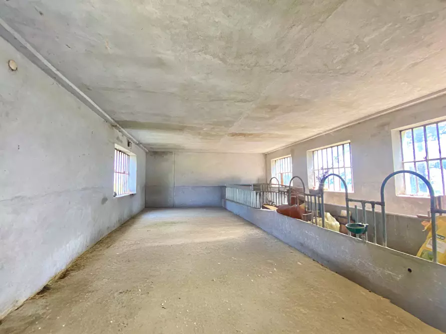 Immagine 7 di Rustico / casale in vendita  in Frazione Villa 8 a Serravalle Langhe