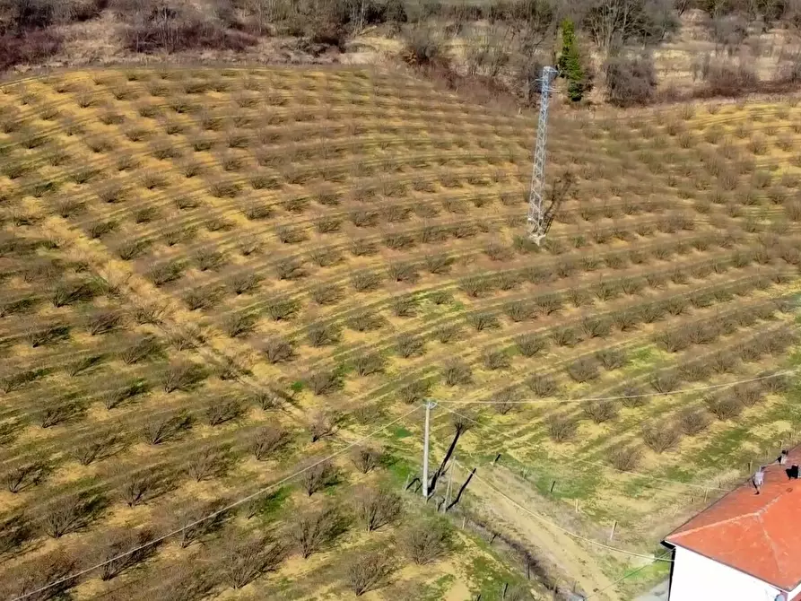Immagine 3 di Rustico / casale in vendita  in Frazione Robertiero 14 a Gorzegno