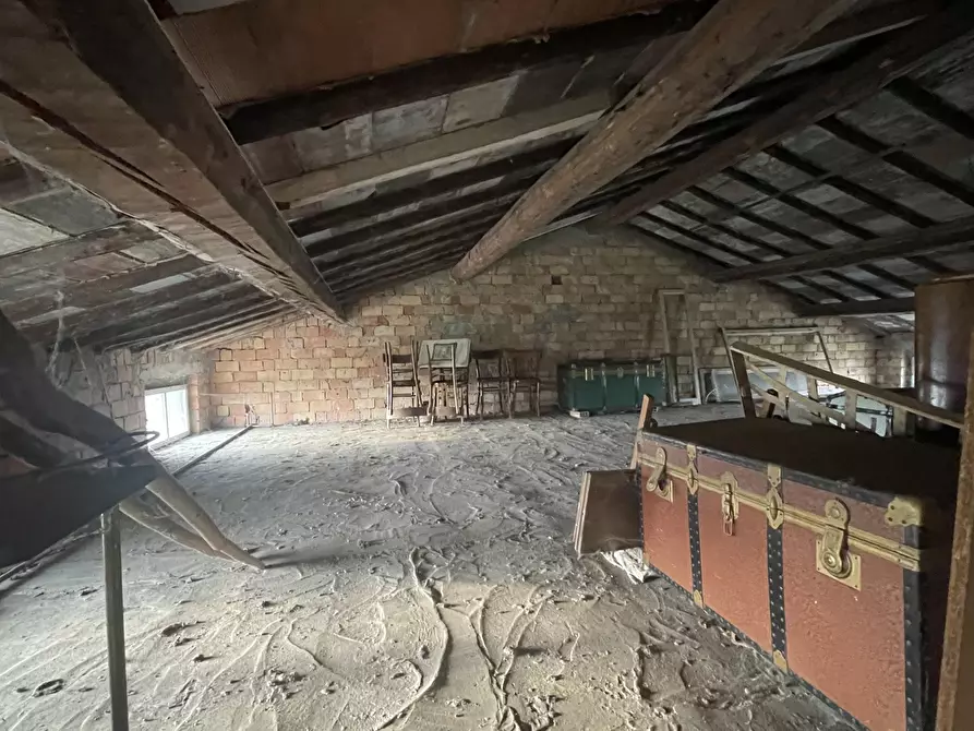 Immagine 30 di Azienda agricola in vendita  in Via al Serraglio 35 a Colorno