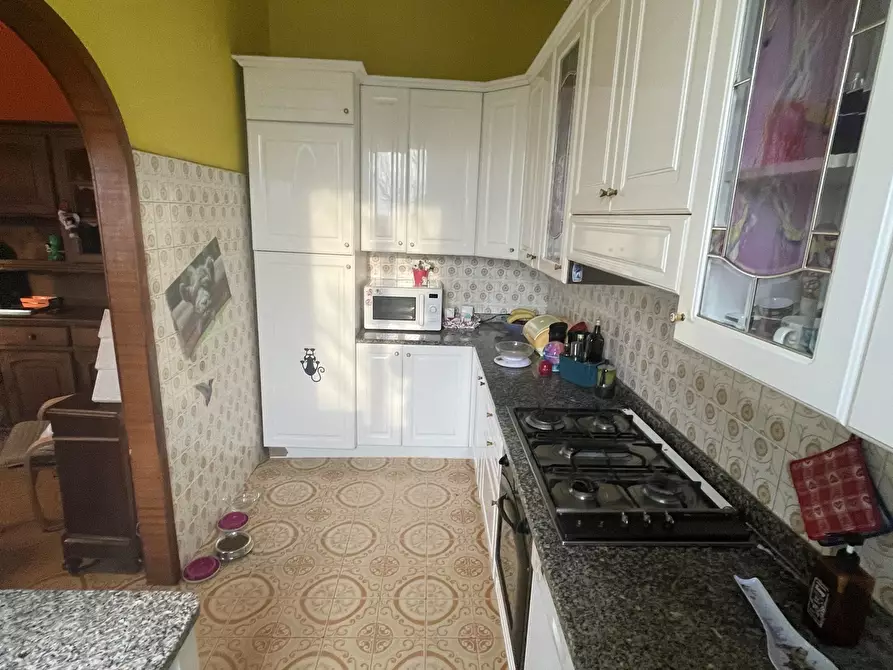 Immagine 21 di Azienda agricola in vendita  in Via al Serraglio 35 a Colorno