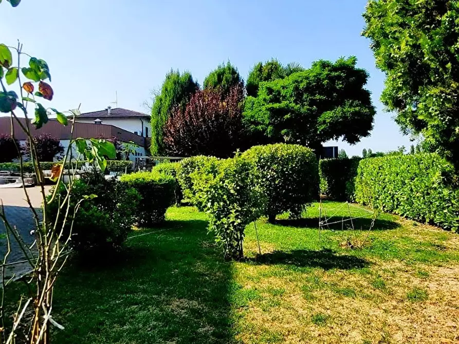 Immagine 29 di Quadrilocale in vendita  in Via Pietro Nenni 38 a Fontanellato