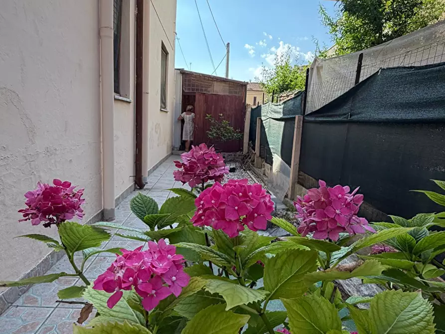 Immagine 8 di Casa trifamiliare in vendita  a Senigallia