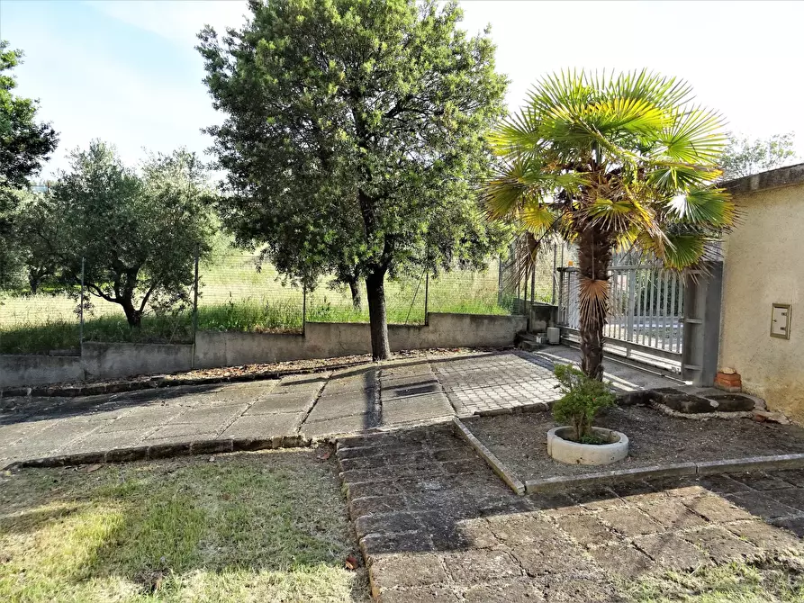 Immagine 3 di Villa in vendita  a Montemarciano