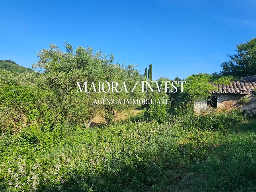 Immagine 5 di Rustico / casale in vendita  in Contrada Pianelle a Monsampolo Del Tronto