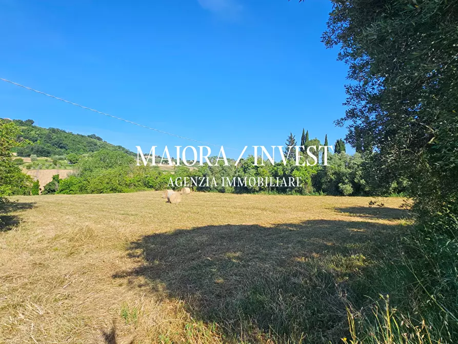 Immagine 4 di Terreno agricolo in vendita  in Contrada Pianelle a Monsampolo Del Tronto