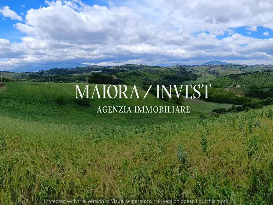Immagine 20 di Rustico / casale in vendita  a Acquaviva Picena