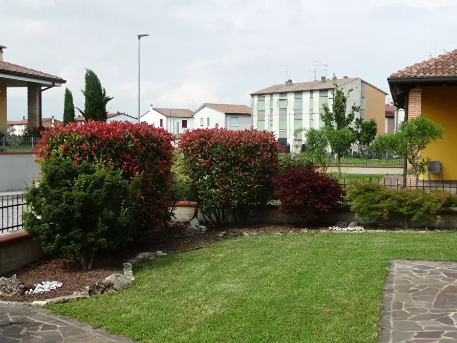 Immagine 4 di Casa indipendente in vendita  in Via della Repubblica 255 a Guarda Veneta