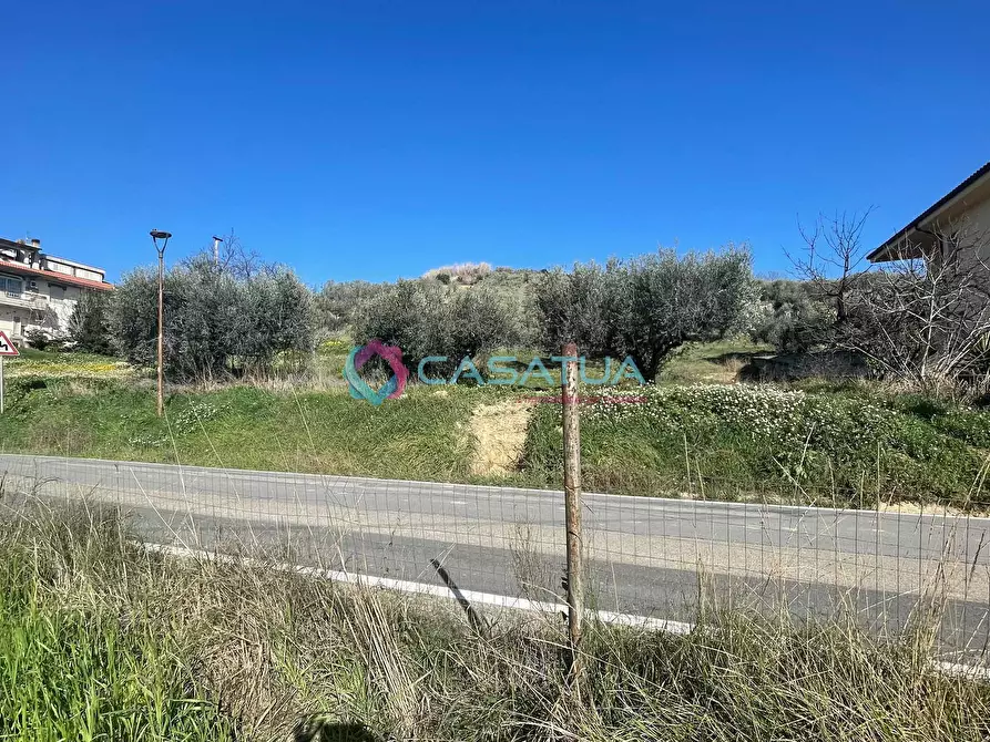 Immagine 28 di Terreno agricolo in vendita  a Silvi