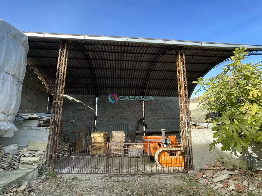 Immagine 45 di Terratetto in vendita  a Pineto