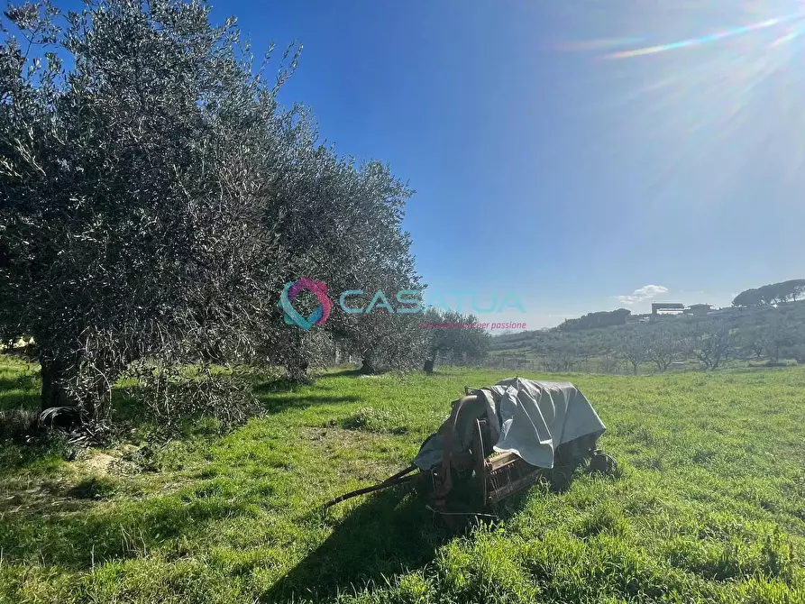 Immagine 35 di Terreno agricolo in vendita  a Silvi