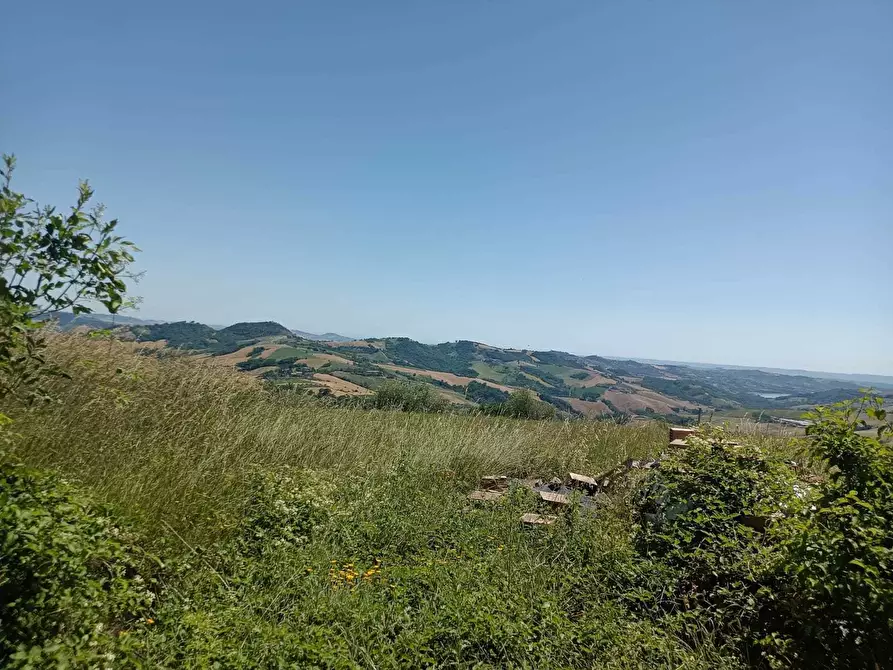 Immagine 5 di Terreno agricolo in vendita  a Farindola
