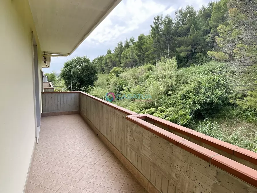 Immagine 31 di Attico in vendita  a Pineto