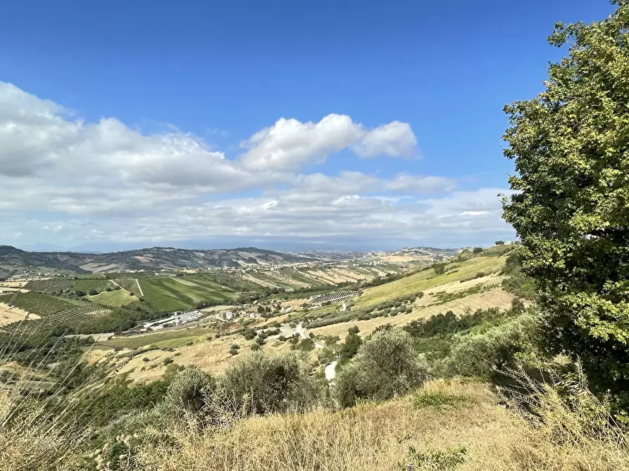 Immagine 6 di Terreno agricolo in vendita  a Silvi