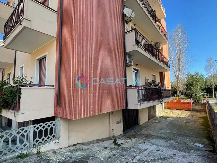 Immagine 7 di Trilocale in vendita  a Silvi