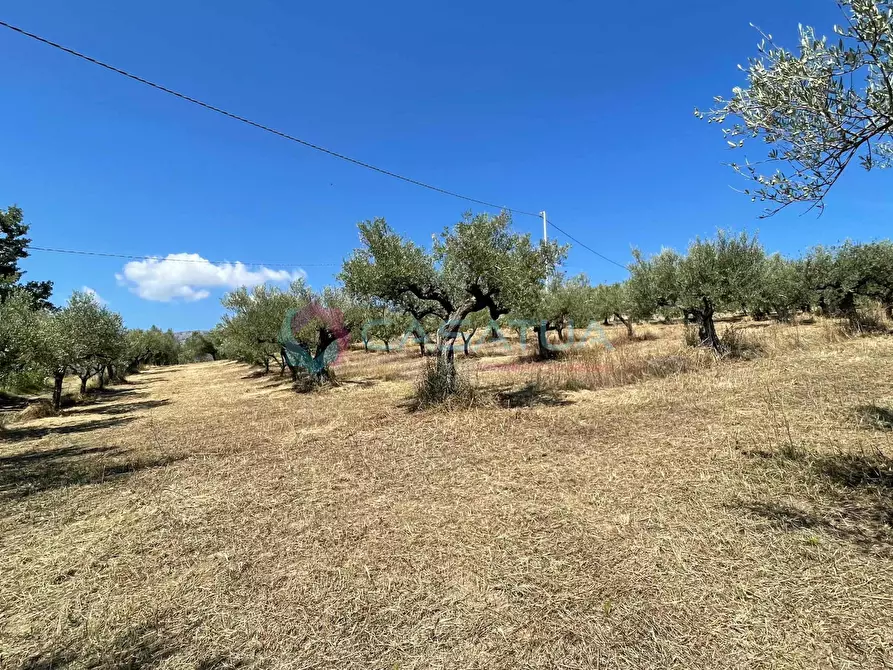 Immagine 26 di Casa indipendente in vendita  a Civitella Casanova