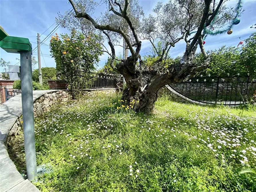 Immagine 40 di Villa in vendita  in Via Paternino 33 a Sarzana