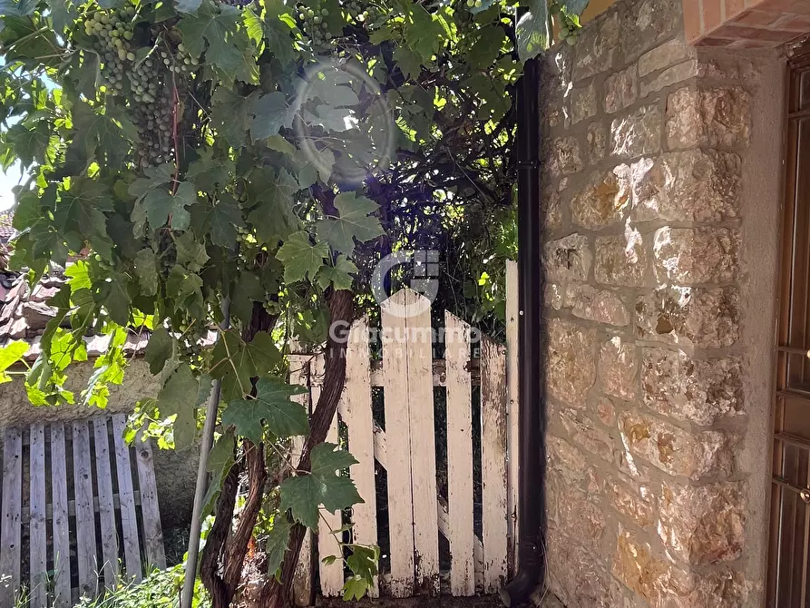 Immagine 14 di Casa indipendente in vendita  in Largo Gagliardi a Avigliano