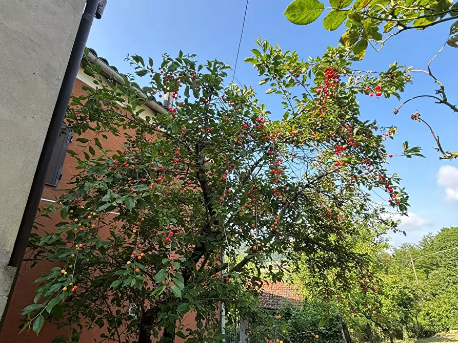 Immagine 4 di Porzione di casa in vendita  a Terenzo