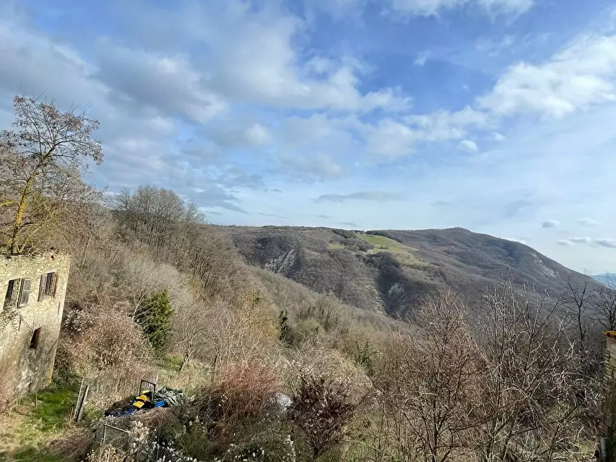 Immagine 23 di Trilocale in affitto  a Solignano