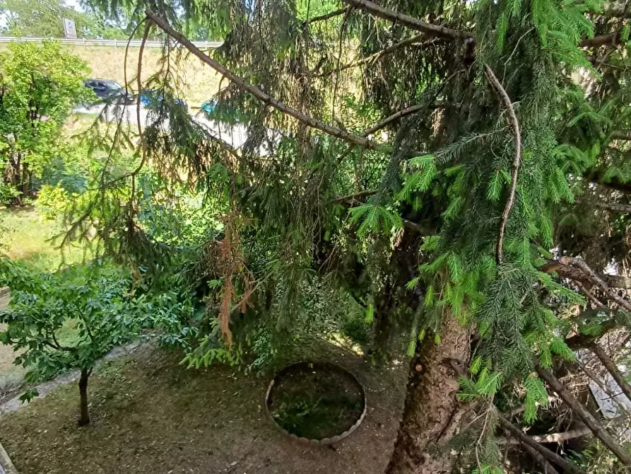 Immagine 17 di Trilocale in vendita  a Fornovo Di Taro