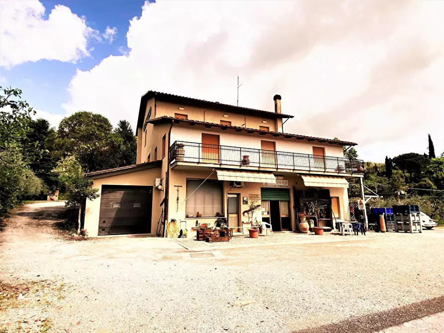 Immagine 1 di Azienda agricola in vendita  in via cavine e valli 34 a Chianciano Terme