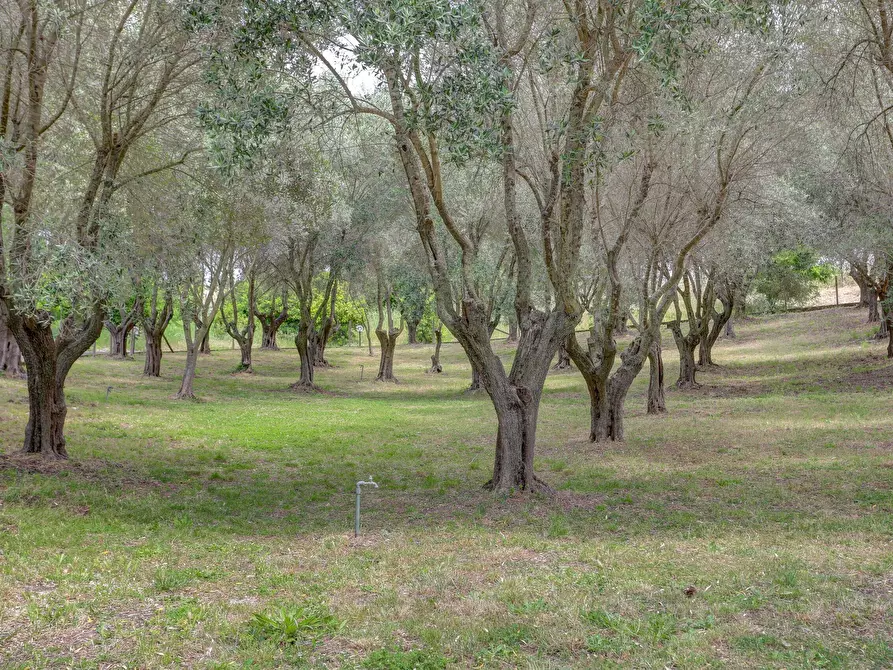 Immagine 30 di Villa in vendita  in Via del Fontanile di Mezzaluna 231 a Fiumicino