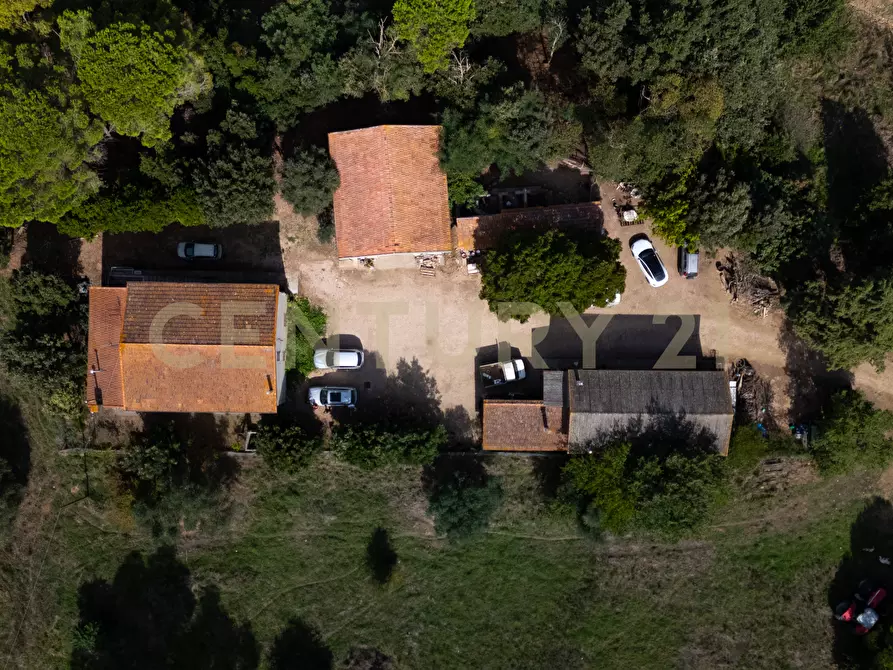 Immagine 5 di Rustico / casale in vendita  in LOCALITA PINZUTI a Manciano