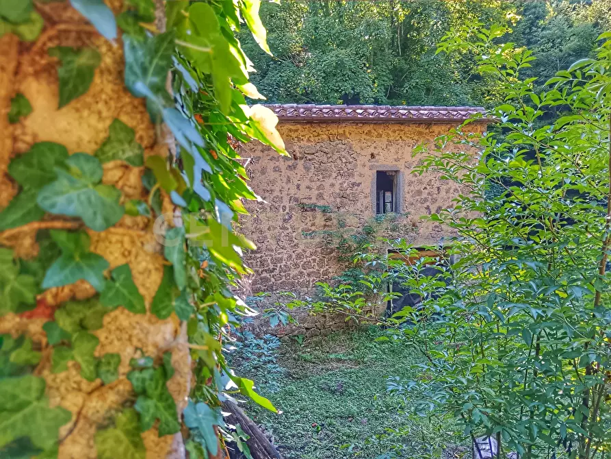 Immagine 15 di Rustico / casale in vendita  in Via dell'Eremo 1 a Castiglione D'orcia