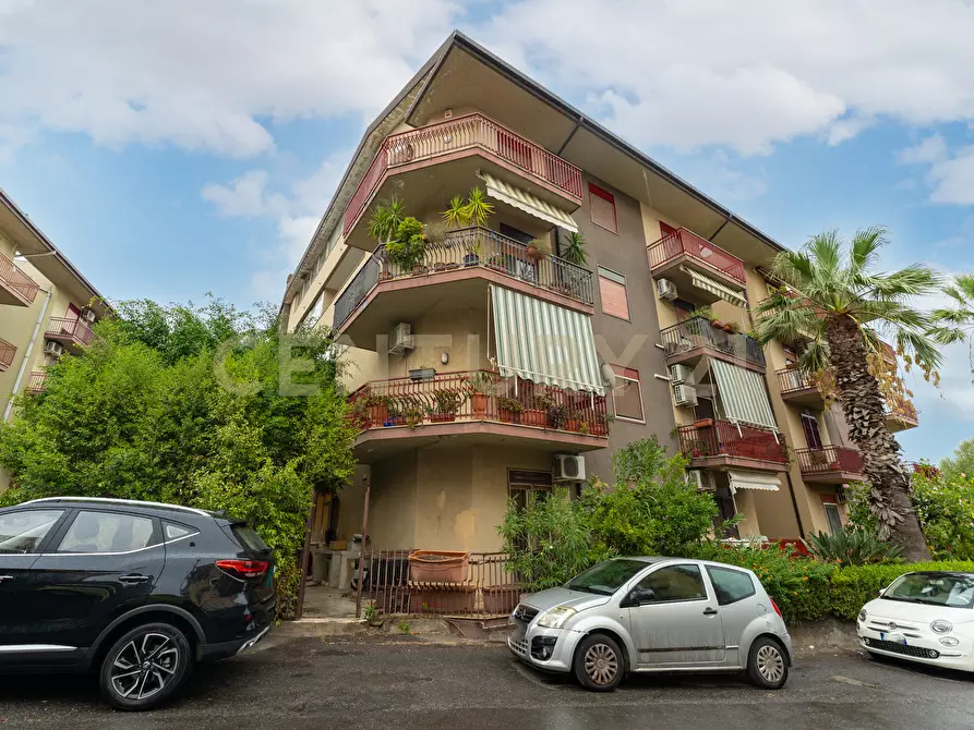Immagine 1 di Trilocale in vendita  in Via Sgroppillo 21 a San Gregorio Di Catania