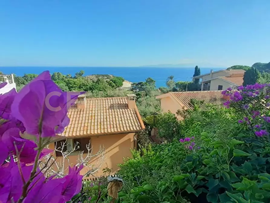 Immagine 17 di Quadrilocale in vendita  in Via dell'Arenella a Isola Del Giglio