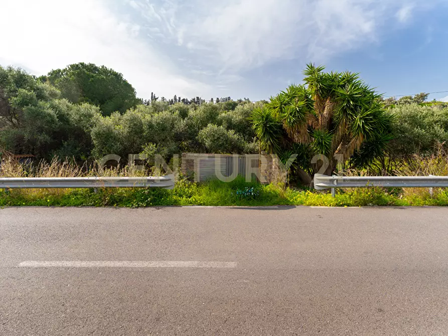 Immagine 37 di Terreno agricolo in vendita  in Contrada Vaccarizzo a Catania