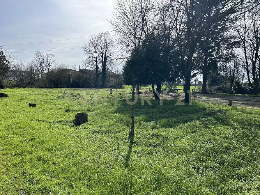 Immagine 3 di Rustico / casale in vendita  in Argine San Lorenzo 11 a Ostiglia