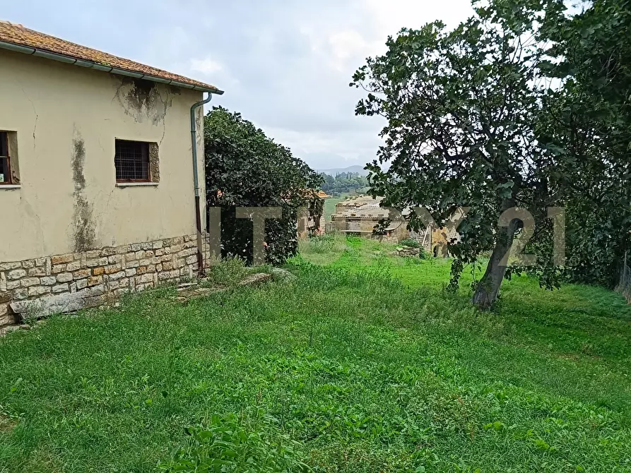 Immagine 3 di Casa indipendente in vendita  in località le croste snc a Manciano