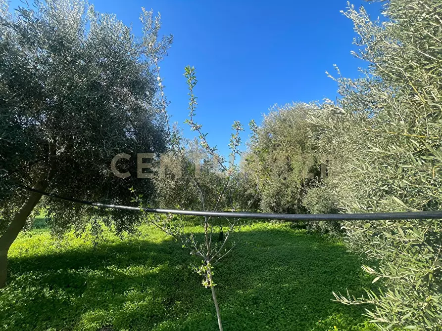 Immagine 46 di Terreno agricolo in vendita  in contrada agnelleria a Belpasso