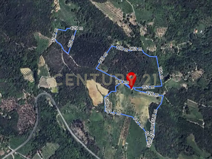 Immagine 28 di Rustico / casale in vendita  in podere le rocchette snc a Roccastrada