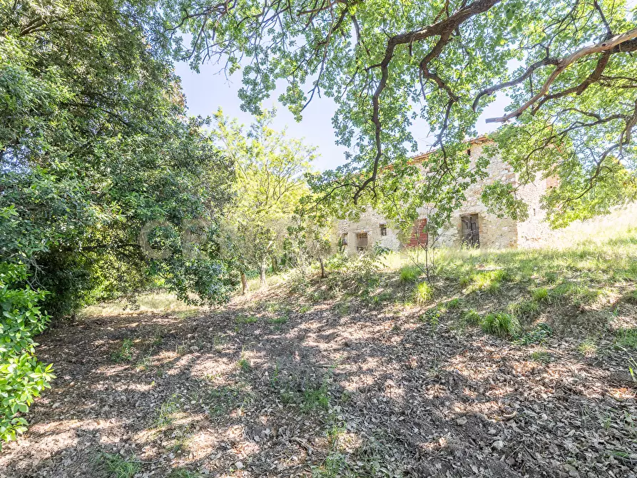 Immagine 23 di Rustico / casale in vendita  in Via Tiberina 384 a Narni