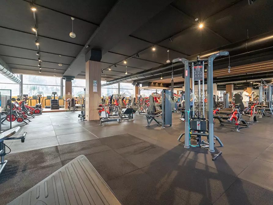 Immagine 13 di Attività commerciale in vendita  in Viale del Commercio a Misterbianco