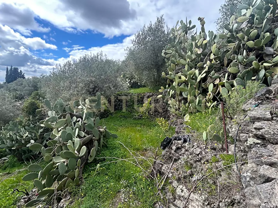 Immagine 18 di Terreno edificabile in vendita  in Viale Giovanni Falcone 9 a Camporotondo Etneo