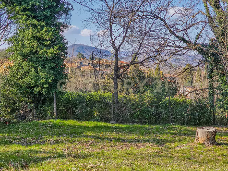 Immagine 26 di Villa in vendita  in Località Poggio Murella 68 a Manciano