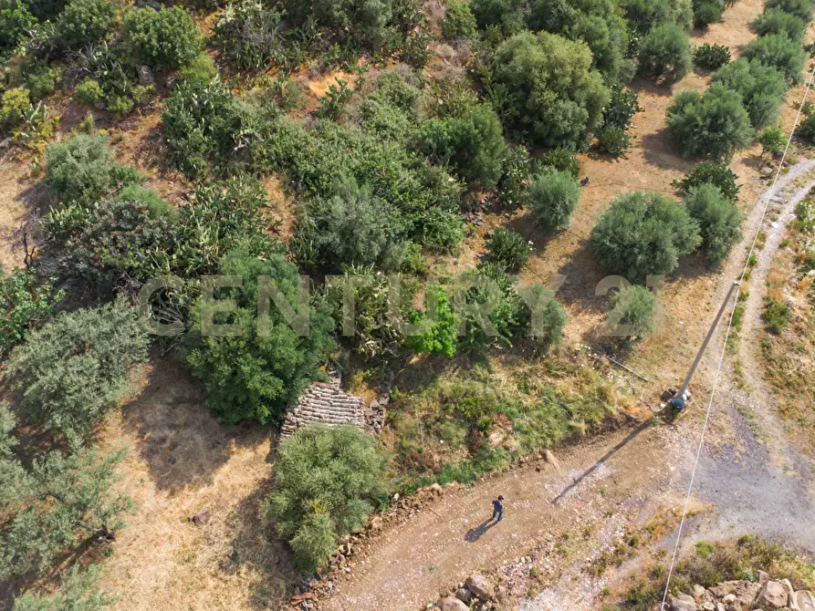 Immagine 16 di Terreno agricolo in vendita  in Via San Leo a Adrano