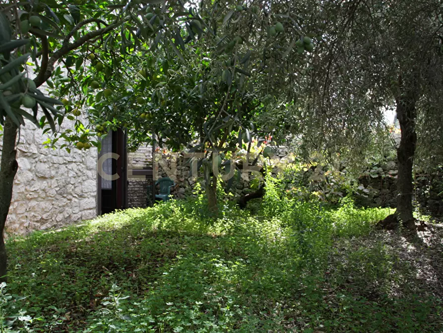 Immagine 13 di Villa in vendita  in Ctr. Pirato Cava Maria 37 a Modica