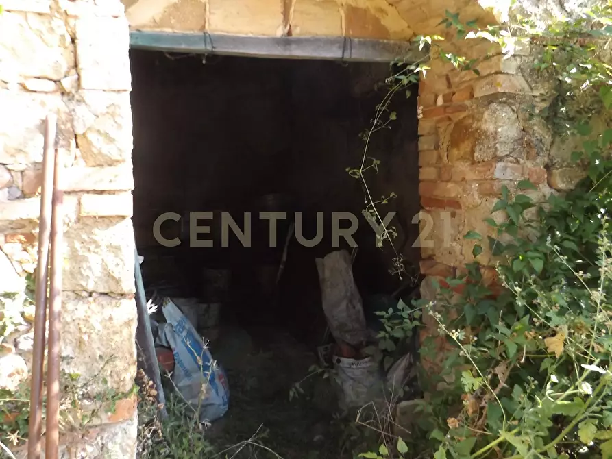 Immagine 2 di Rustico / casale in vendita  in LOCALITA CASETTE a Roccastrada
