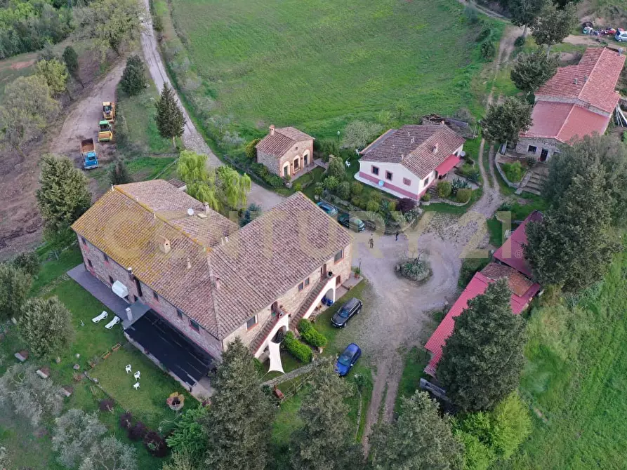 Immagine 54 di Rustico / casale in vendita  in agriturismo lampugnano 47 a Civitella Paganico