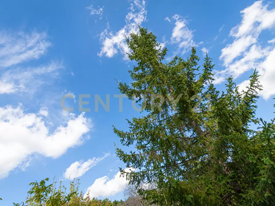 Immagine 35 di Villa in vendita  in Contrada Scolaro Cisterna a Adrano